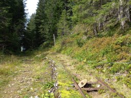 Herbstwanderung 2021