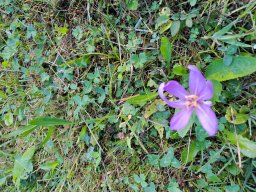 Herbstwanderung 2023