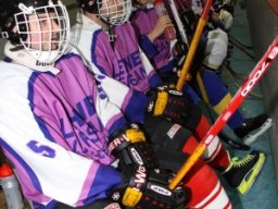 Plausch-Eishockeymatch 2011