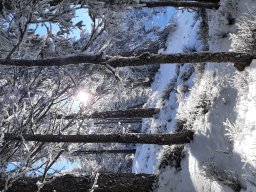 Schneeschuhtour 2023